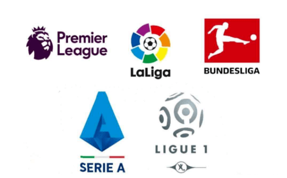 萨建立了一 萨建立了一