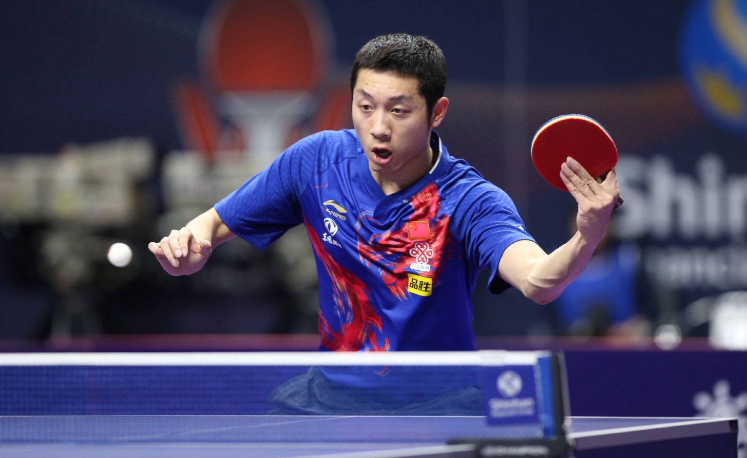 展示了何为 展示了何为